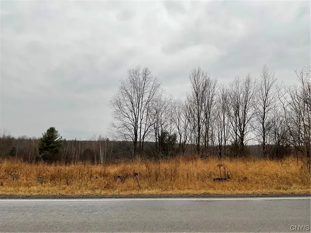 0 County Route 41, Wilna, New York 13665, Wilna, New York 13665, ,Land,For Sale,0 County Route 41, Wilna, New York 13665,S1511782