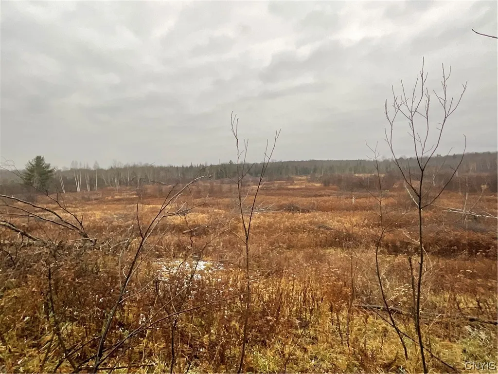 0 County Route 41, Wilna, New York 13665, Wilna, New York 13665, ,Land,For Sale,0 County Route 41, Wilna, New York 13665,S1511782
