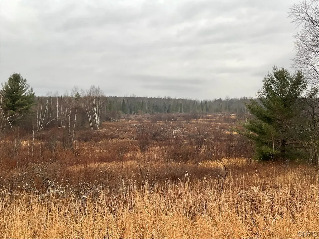 0 County Route 41, Wilna, New York 13665, Wilna, New York 13665, ,Land,For Sale,0 County Route 41, Wilna, New York 13665,S1511782