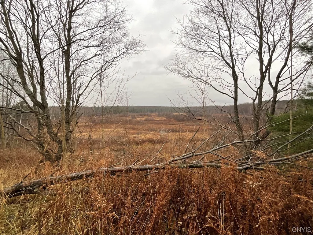 0 County Route 41, Wilna, New York 13665, Wilna, New York 13665, ,Land,For Sale,0 County Route 41, Wilna, New York 13665,S1511782