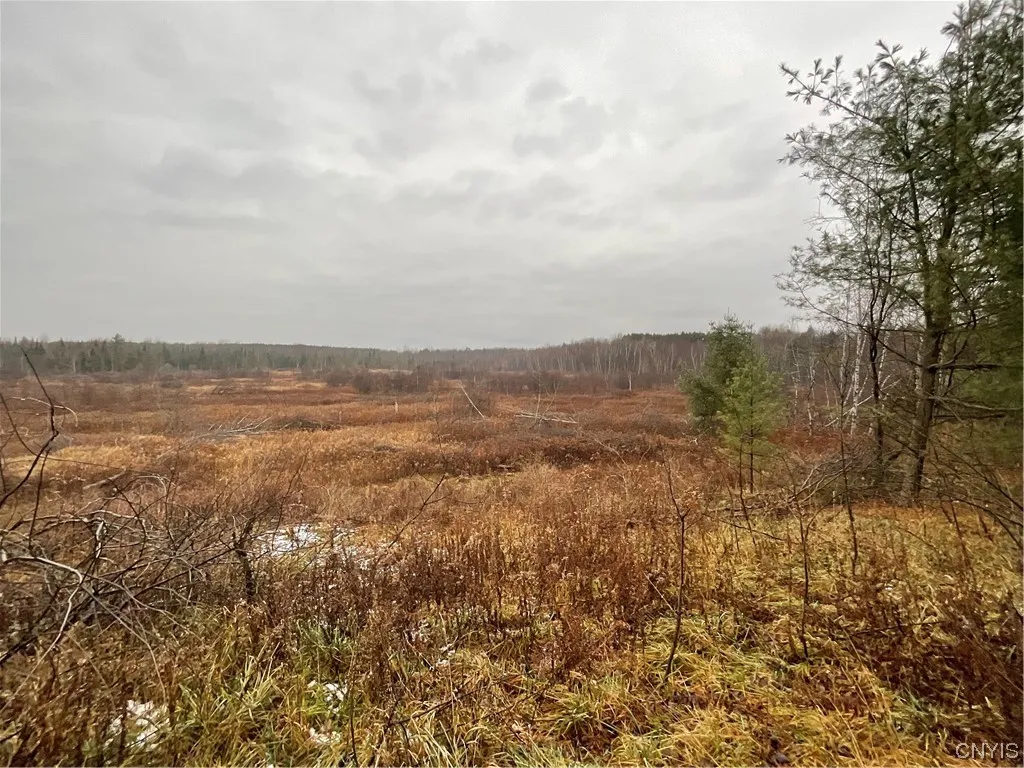 0 County Route 41, Wilna, New York 13665, Wilna, New York 13665, ,Land,For Sale,0 County Route 41, Wilna, New York 13665,S1511782