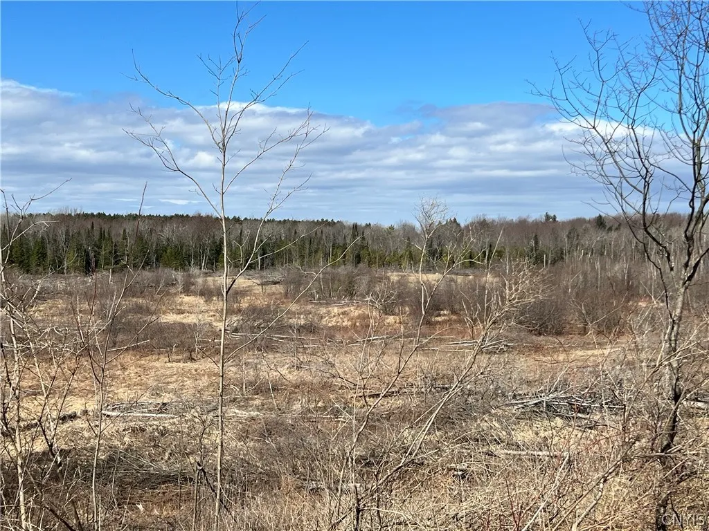 0 County Route 41, Wilna, New York 13665, Wilna, New York 13665, ,Land,For Sale,0 County Route 41, Wilna, New York 13665,S1511782