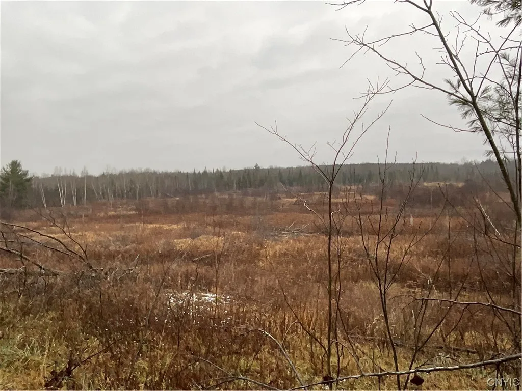 0 County Route 41, Wilna, New York 13665, Wilna, New York 13665, ,Land,For Sale,0 County Route 41, Wilna, New York 13665,S1511782