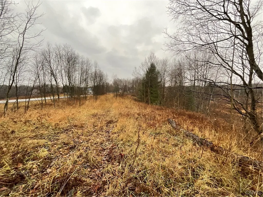 0 County Route 41, Wilna, New York 13665, Wilna, New York 13665, ,Land,For Sale,0 County Route 41, Wilna, New York 13665,S1511782