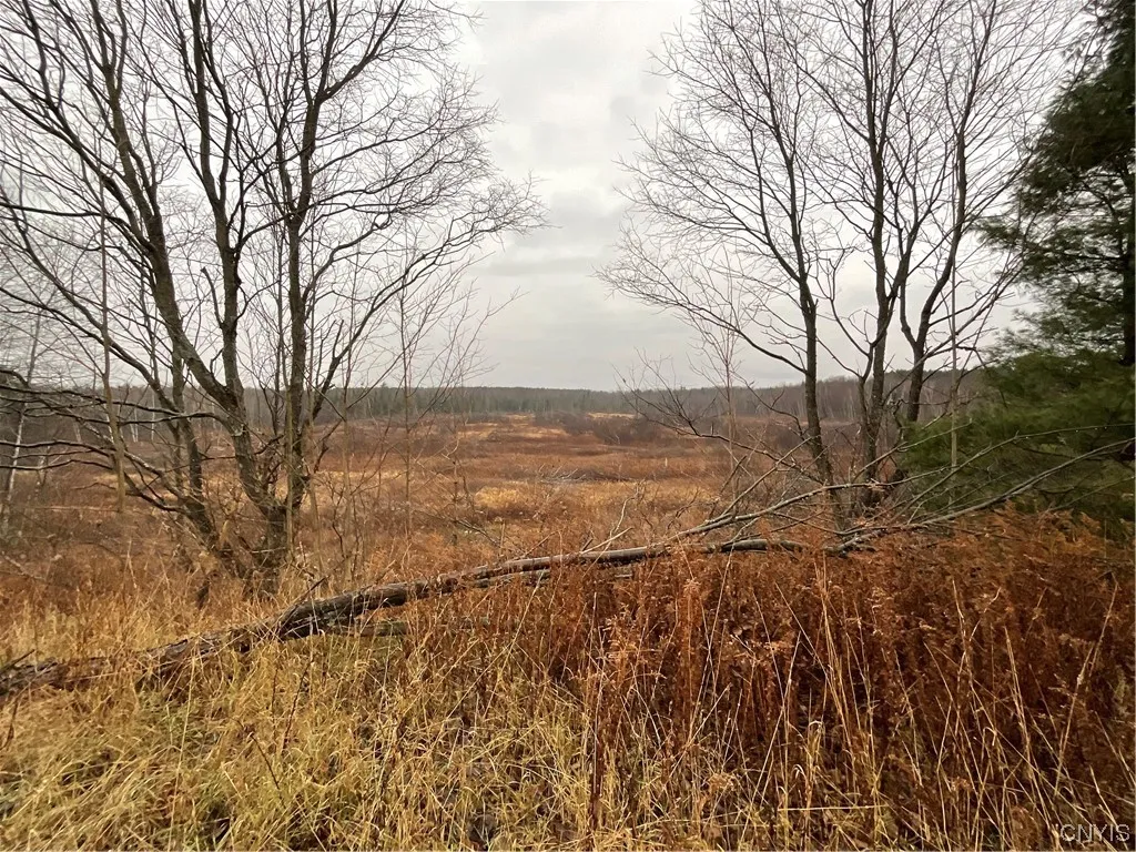 0 County Route 41, Wilna, New York 13665, Wilna, New York 13665, ,Land,For Sale,0 County Route 41, Wilna, New York 13665,S1511782