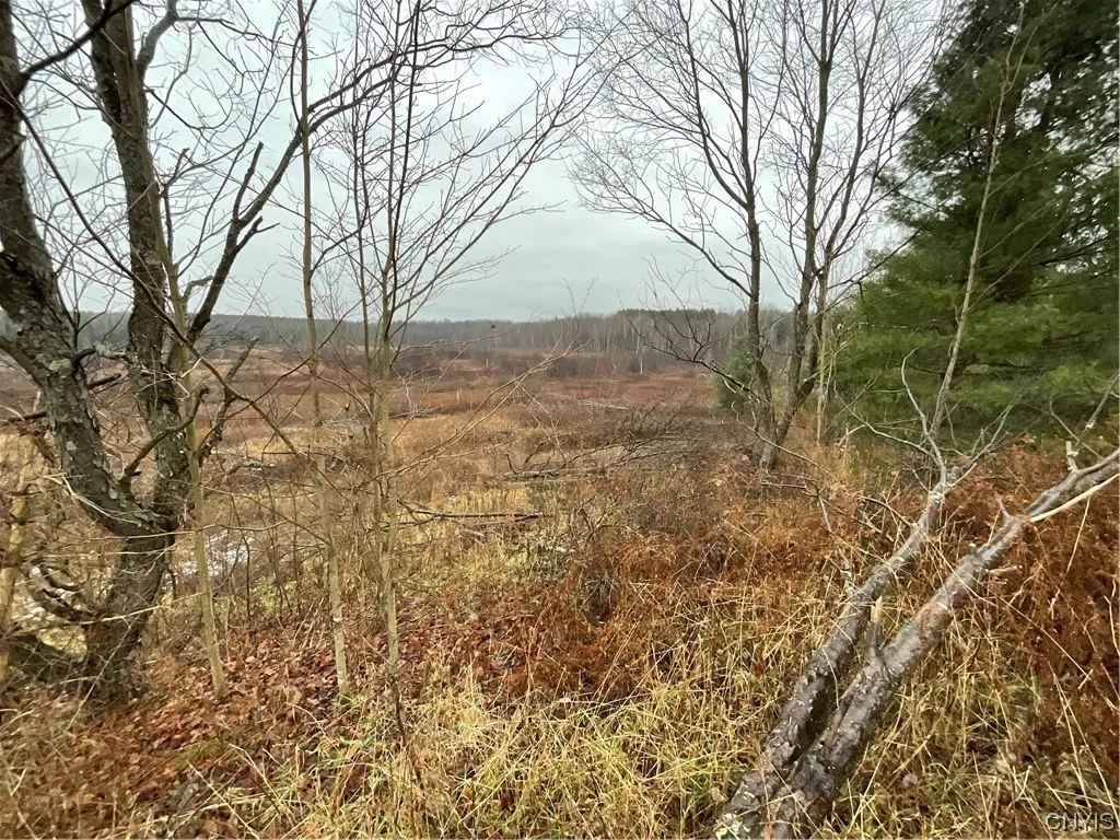 0 County Route 41, Wilna, New York 13665, Wilna, New York 13665, ,Land,For Sale,0 County Route 41, Wilna, New York 13665,S1511782