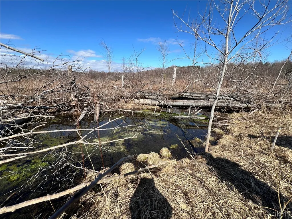 0 County Route 41, Wilna, New York 13665, Wilna, New York 13665, ,Land,For Sale,0 County Route 41, Wilna, New York 13665,S1511782