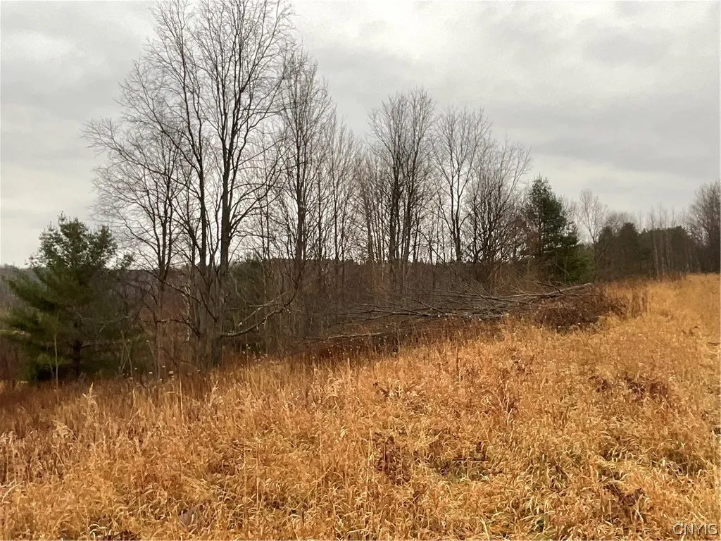 0 County Route 41, Wilna, New York 13665, Wilna, New York 13665, ,Land,For Sale,0 County Route 41, Wilna, New York 13665,S1511782