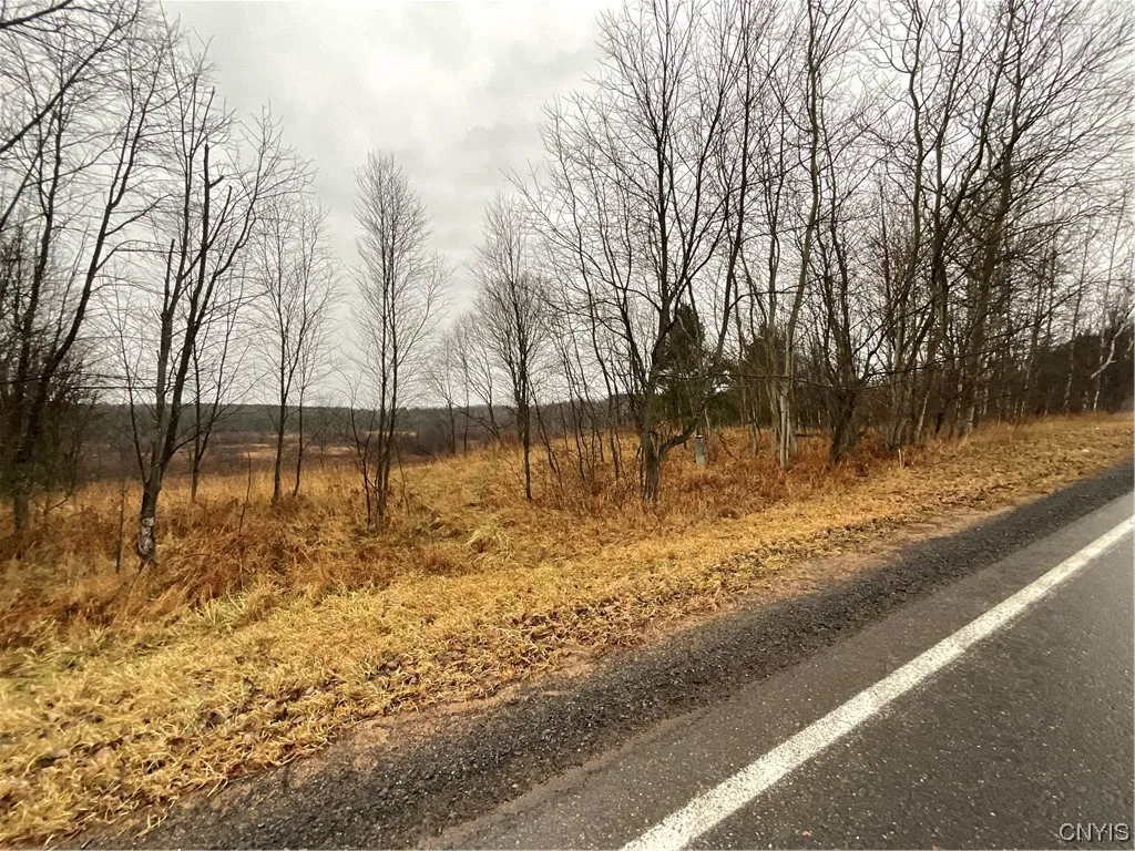 0 County Route 41, Wilna, New York 13665, Wilna, New York 13665, ,Land,For Sale,0 County Route 41, Wilna, New York 13665,S1511782