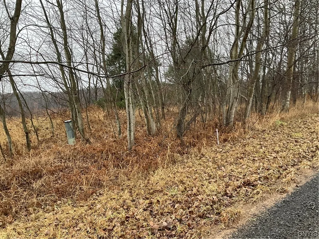 0 County Route 41, Wilna, New York 13665, Wilna, New York 13665, ,Land,For Sale,0 County Route 41, Wilna, New York 13665,S1511782