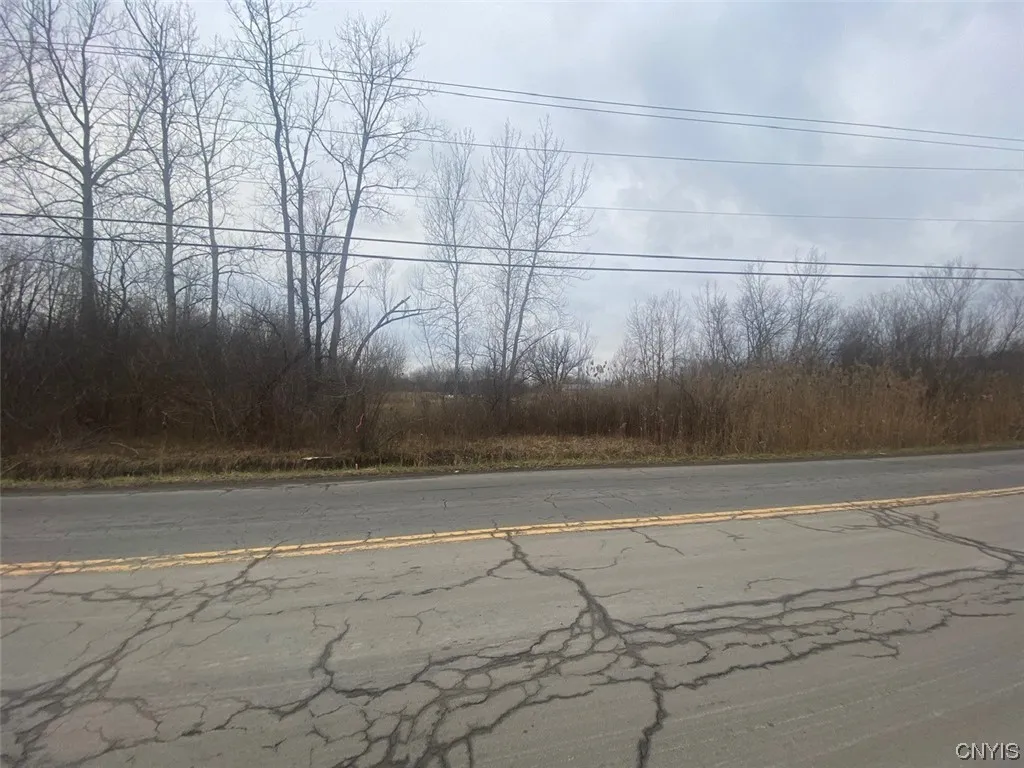 0 Schuyler Rd & E Taft Road, Cicero, New York, Cicero, New York 13057, ,Commercial Sale,For Sale,0 Schuyler Rd & E Taft Road, Cicero, New York ,0,S1512661