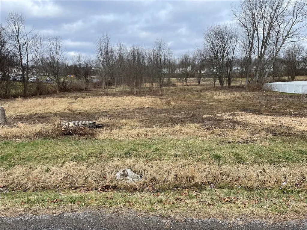 392 Mildahn Rd, Walworth, New York 14502, Walworth, New York 14502, ,Land,For Sale,392 Mildahn Rd, Walworth, New York 14502,0,R1515412