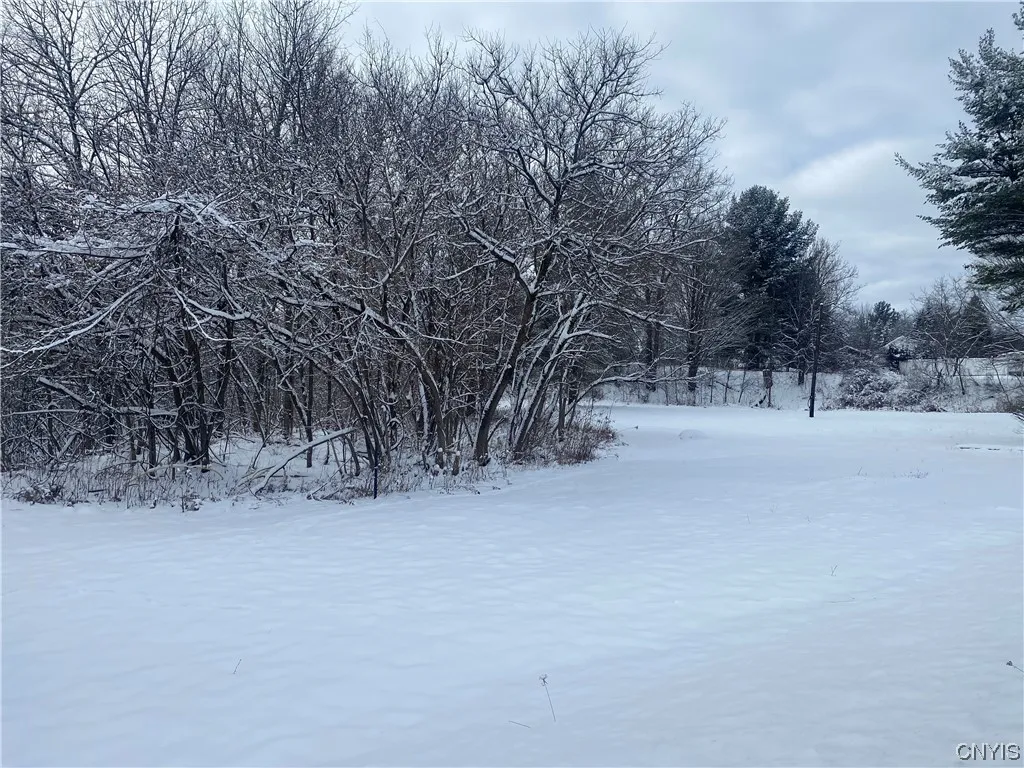 10 South Broad Street, Champion, New York 13619, Champion, New York 13619, ,Land,For Sale,10 South Broad Street, Champion, New York 13619,0,S1516068