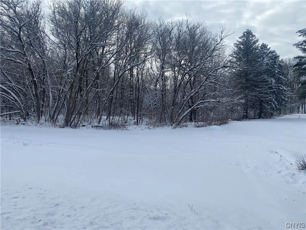 10 South Broad Street, Champion, New York 13619, Champion, New York 13619, ,Land,For Sale,10 South Broad Street, Champion, New York 13619,0,S1516068