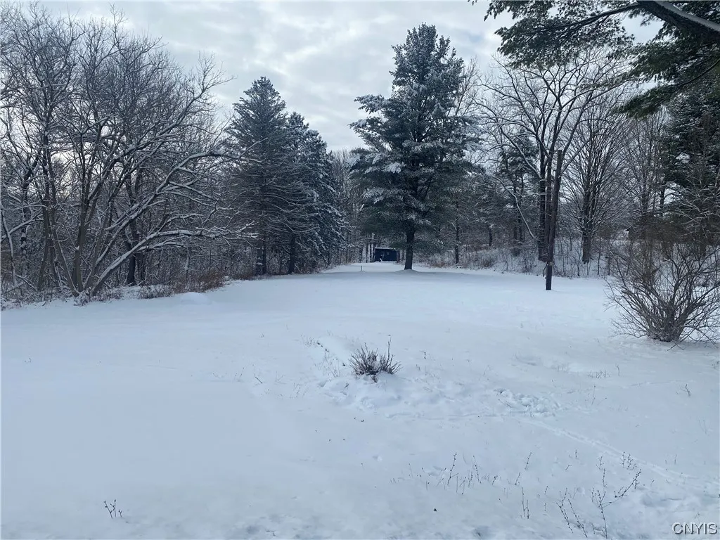 10 South Broad Street, Champion, New York 13619, Champion, New York 13619, ,Land,For Sale,10 South Broad Street, Champion, New York 13619,0,S1516068