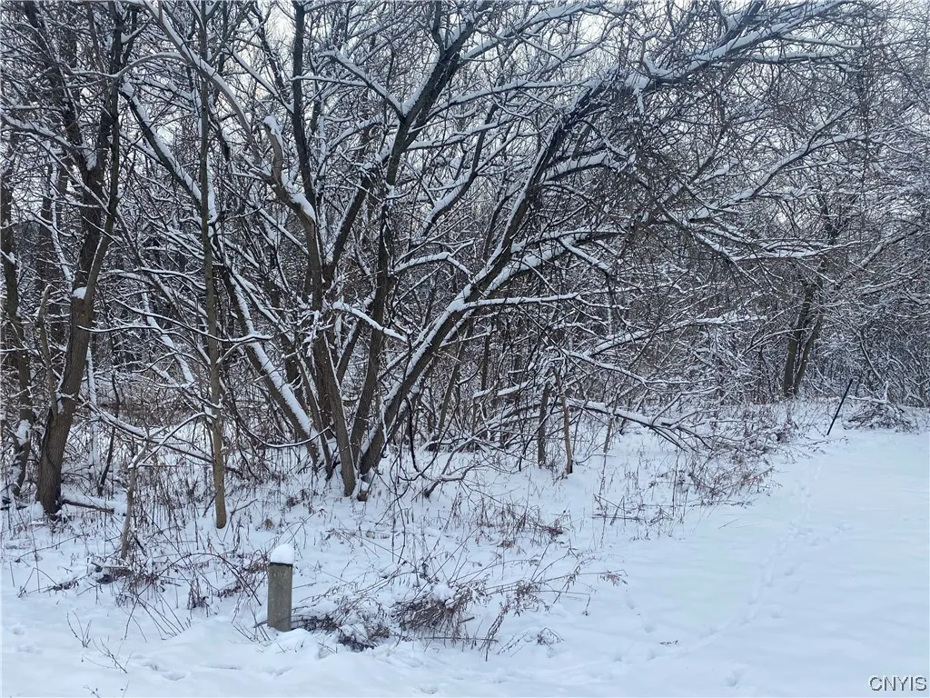 10 South Broad Street, Champion, New York 13619, Champion, New York 13619, ,Land,For Sale,10 South Broad Street, Champion, New York 13619,0,S1516068