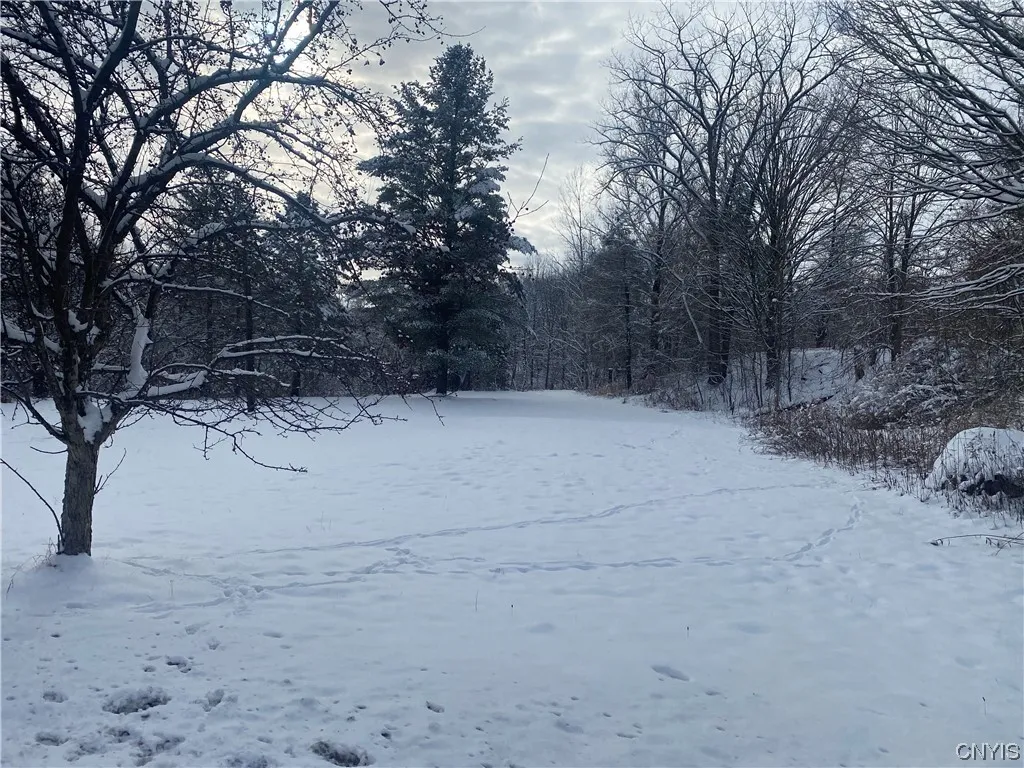 10 South Broad Street, Champion, New York 13619, Champion, New York 13619, ,Land,For Sale,10 South Broad Street, Champion, New York 13619,0,S1516068