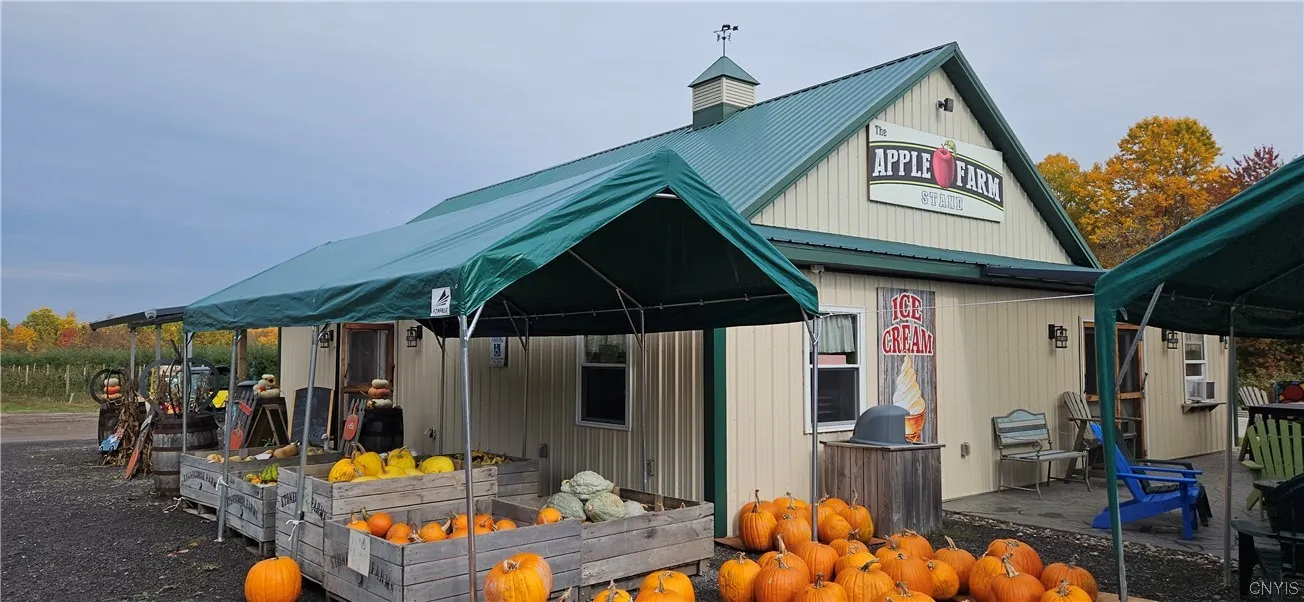 0 Norris & Rt 104 Road, Huron, New York 14590, Huron, New York 14590, ,Land,For Sale,0 Norris & Rt 104 Road, Huron, New York 14590,0,S1515610