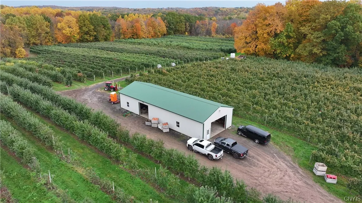 0 Norris & Rt 104 Road, Huron, New York 14590, Huron, New York 14590, ,Land,For Sale,0 Norris & Rt 104 Road, Huron, New York 14590,0,S1515610