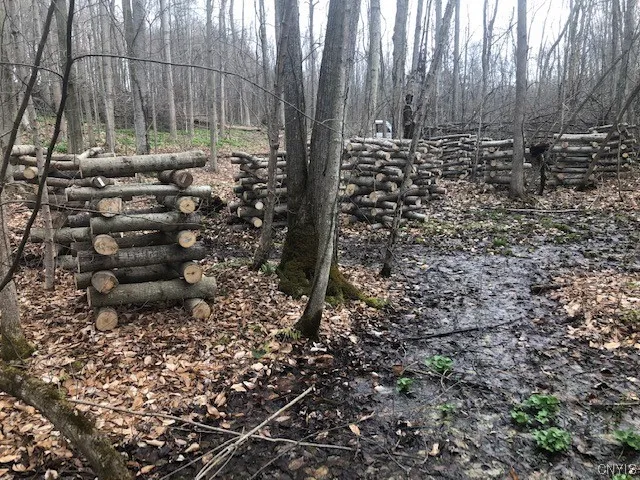 0 Norris & Rt 104 Road, Huron, New York 14590, Huron, New York 14590, ,Land,For Sale,0 Norris & Rt 104 Road, Huron, New York 14590,0,S1515610