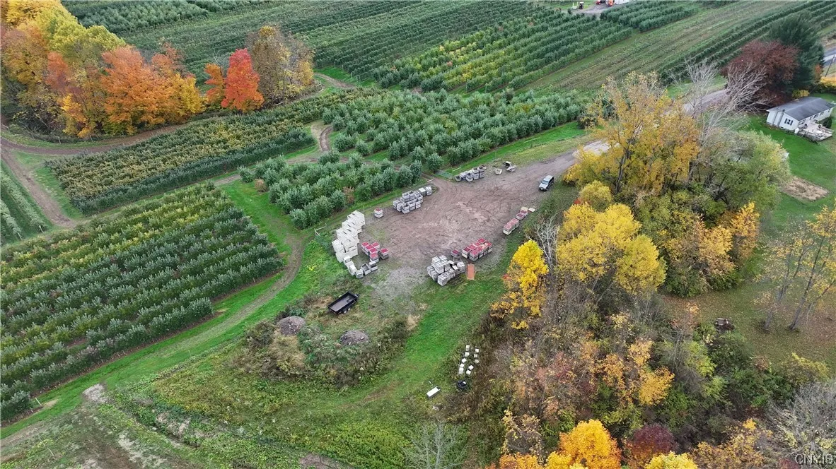 0 Norris & Rt 104 Road, Huron, New York 14590, Huron, New York 14590, ,Land,For Sale,0 Norris & Rt 104 Road, Huron, New York 14590,0,S1515610