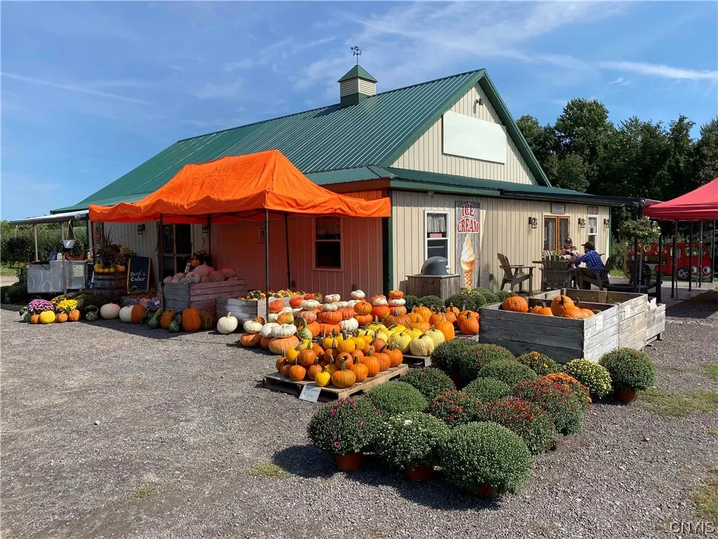 0 Norris & Rt 104 Road, Huron, New York 14590, Huron, New York 14590, ,Land,For Sale,0 Norris & Rt 104 Road, Huron, New York 14590,0,S1515610