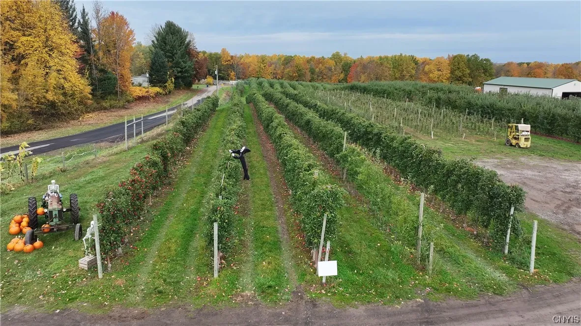 0 Norris & Rt 104 Road, Huron, New York 14590, Huron, New York 14590, ,Land,For Sale,0 Norris & Rt 104 Road, Huron, New York 14590,0,S1515610