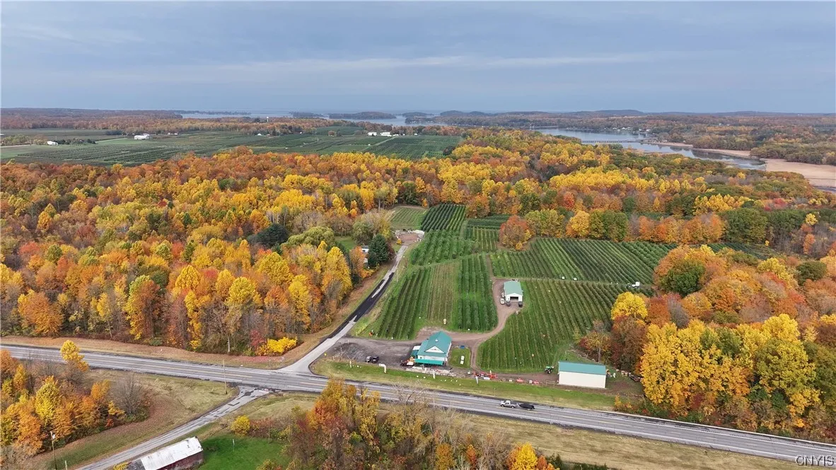 0 Norris & Rt 104 Road, Huron, New York 14590, Huron, New York 14590, ,Land,For Sale,0 Norris & Rt 104 Road, Huron, New York 14590,0,S1515610