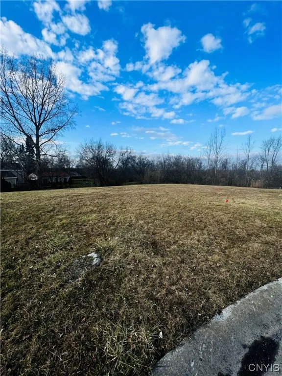 0 Will New Boulevard, Lenox, New York 13032, Lenox, New York 13032, ,Land,For Sale,0 Will New Boulevard, Lenox, New York 13032,0,S1521106
