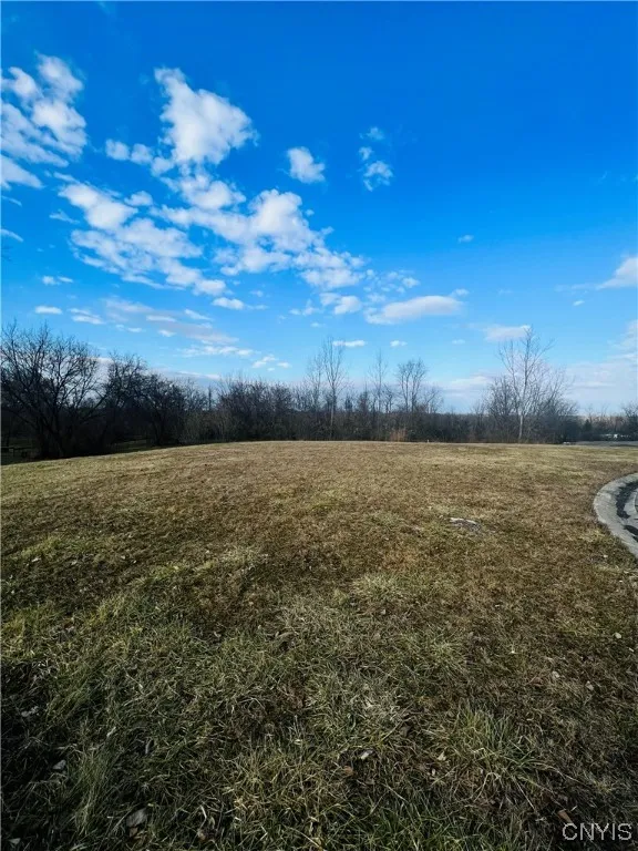 0 Will New Boulevard, Lenox, New York 13032, Lenox, New York 13032, ,Land,For Sale,0 Will New Boulevard, Lenox, New York 13032,0,S1521106