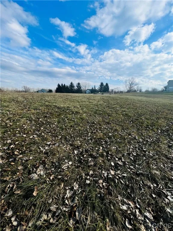 0 Will New Boulevard, Lenox, New York 13032, Lenox, New York 13032, ,Land,For Sale,0 Will New Boulevard, Lenox, New York 13032,0,S1521106
