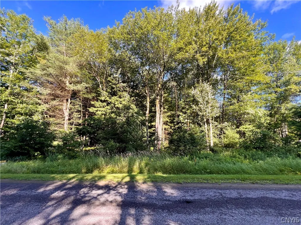 0 Burton Road, Camden, New York 13316, Camden, New York 13316, ,Land,Closed,0 Burton Road, Camden, New York 13316,0,S1521755