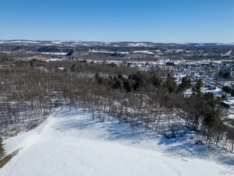 20 Beardslee Ave, Herkimer, New York 13350, Herkimer, New York 13350, ,Land,For Sale,20 Beardslee Ave, Herkimer, New York 13350,S1522293