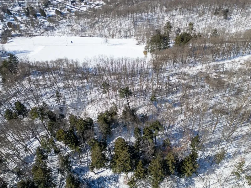 20 Beardslee Ave, Herkimer, New York 13350, Herkimer, New York 13350, ,Land,For Sale,20 Beardslee Ave, Herkimer, New York 13350,S1522293