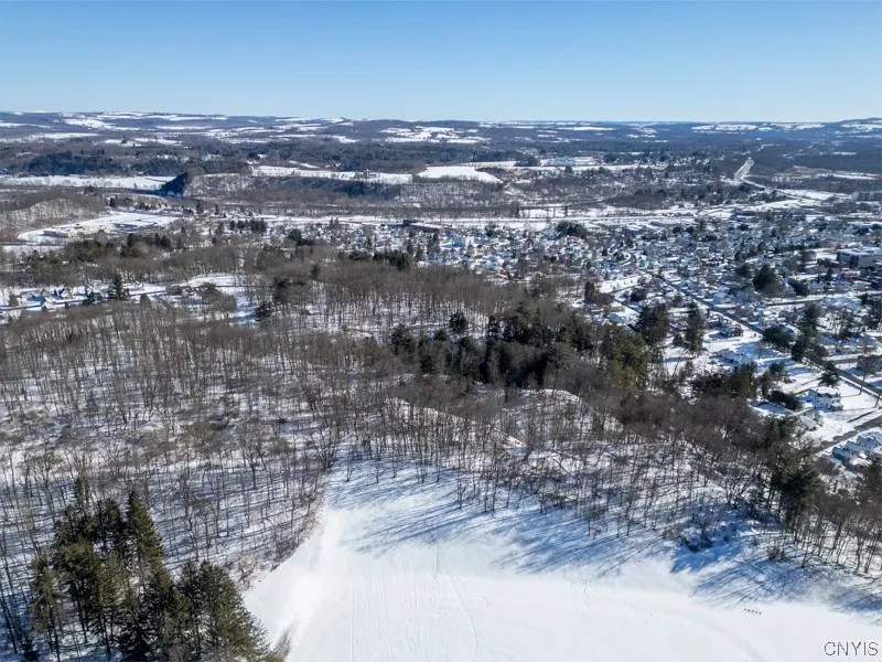 20 Beardslee Ave, Herkimer, New York 13350, Herkimer, New York 13350, ,Land,For Sale,20 Beardslee Ave, Herkimer, New York 13350,S1522293
