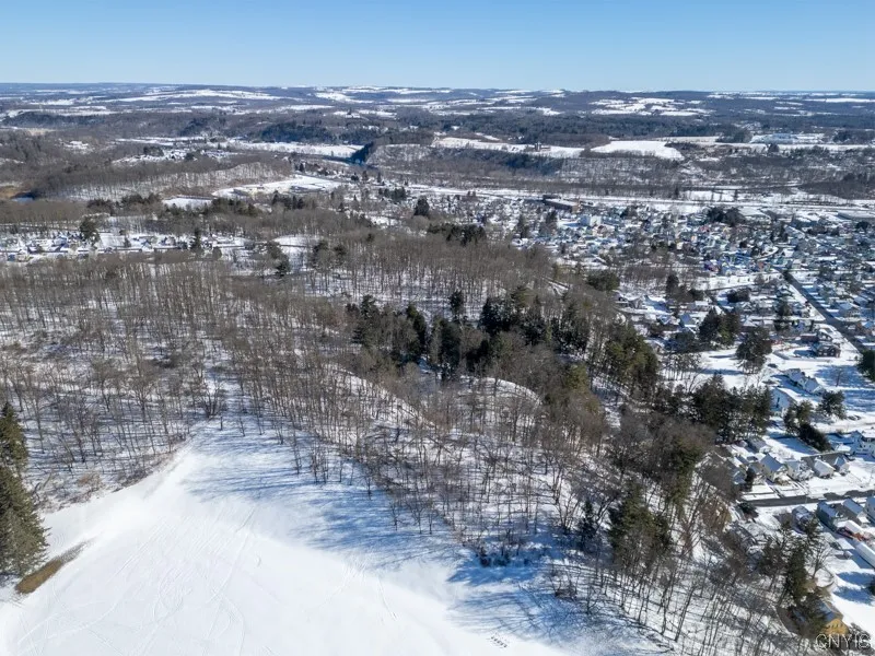 20 Beardslee Ave, Herkimer, New York 13350, Herkimer, New York 13350, ,Land,For Sale,20 Beardslee Ave, Herkimer, New York 13350,S1522293
