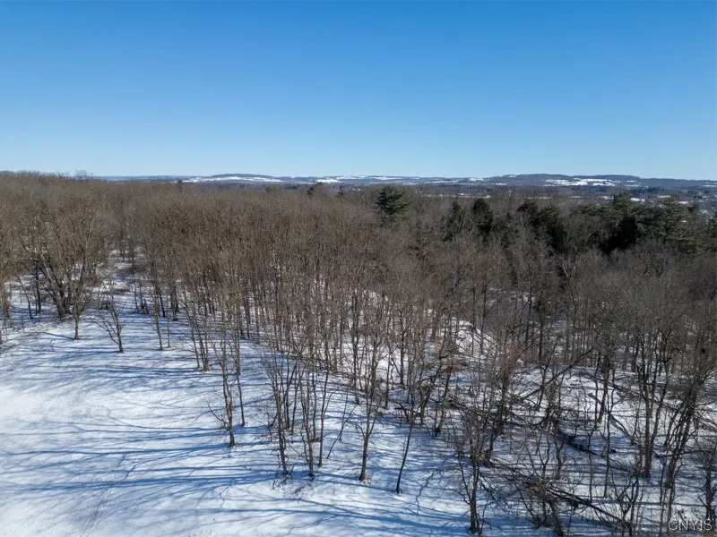 20 Beardslee Ave, Herkimer, New York 13350, Herkimer, New York 13350, ,Land,For Sale,20 Beardslee Ave, Herkimer, New York 13350,S1522293