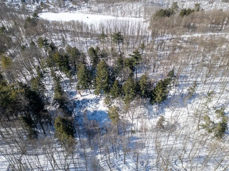 20 Beardslee Ave, Herkimer, New York 13350, Herkimer, New York 13350, ,Land,For Sale,20 Beardslee Ave, Herkimer, New York 13350,S1522293