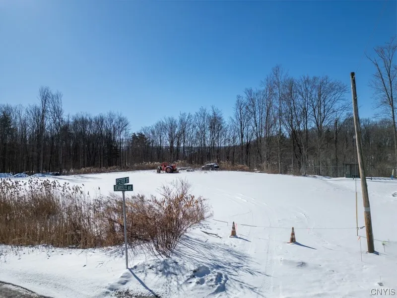 20 Beardslee Ave, Herkimer, New York 13350, Herkimer, New York 13350, ,Land,For Sale,20 Beardslee Ave, Herkimer, New York 13350,S1522293