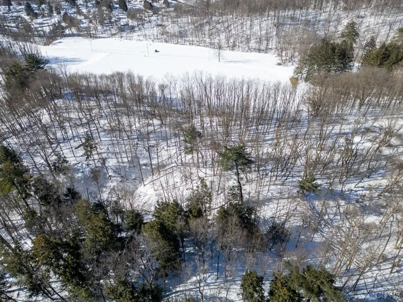 20 Beardslee Ave, Herkimer, New York 13350, Herkimer, New York 13350, ,Land,For Sale,20 Beardslee Ave, Herkimer, New York 13350,S1522293