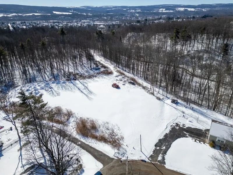 20 Beardslee Ave, Herkimer, New York 13350, Herkimer, New York 13350, ,Land,For Sale,20 Beardslee Ave, Herkimer, New York 13350,S1522293