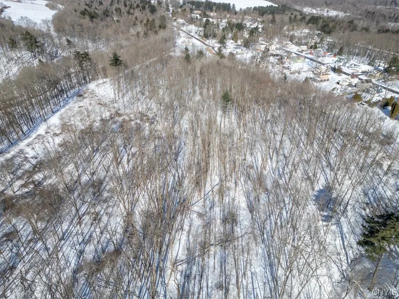 20 Beardslee Ave, Herkimer, New York 13350, Herkimer, New York 13350, ,Land,For Sale,20 Beardslee Ave, Herkimer, New York 13350,S1522293
