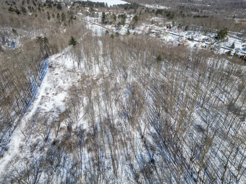 20 Beardslee Ave, Herkimer, New York 13350, Herkimer, New York 13350, ,Land,For Sale,20 Beardslee Ave, Herkimer, New York 13350,S1522293