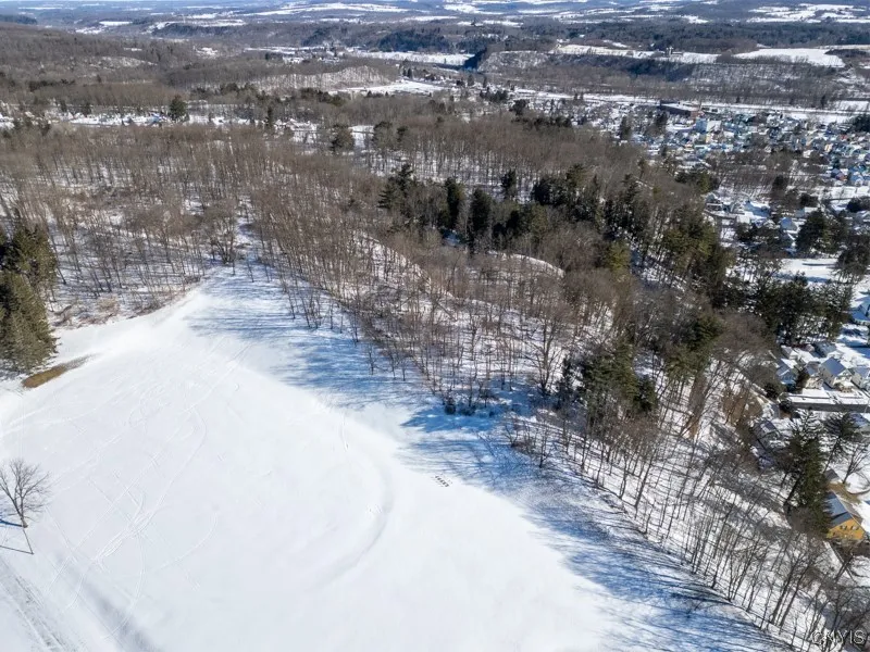 20 Beardslee Ave, Herkimer, New York 13350, Herkimer, New York 13350, ,Land,For Sale,20 Beardslee Ave, Herkimer, New York 13350,S1522293