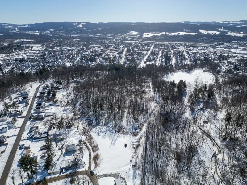 20 Beardslee Ave, Herkimer, New York 13350, Herkimer, New York 13350, ,Land,For Sale,20 Beardslee Ave, Herkimer, New York 13350,S1522293