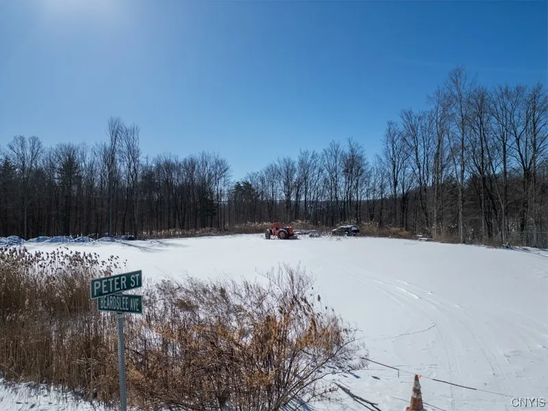 20 Beardslee Ave, Herkimer, New York 13350, Herkimer, New York 13350, ,Land,For Sale,20 Beardslee Ave, Herkimer, New York 13350,S1522293