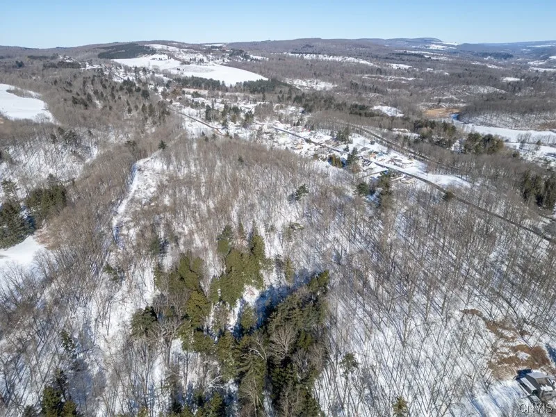 20 Beardslee Ave, Herkimer, New York 13350, Herkimer, New York 13350, ,Land,For Sale,20 Beardslee Ave, Herkimer, New York 13350,S1522293