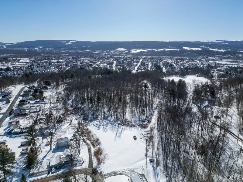 20 Beardslee Ave, Herkimer, New York 13350, Herkimer, New York 13350, ,Land,For Sale,20 Beardslee Ave, Herkimer, New York 13350,S1522293