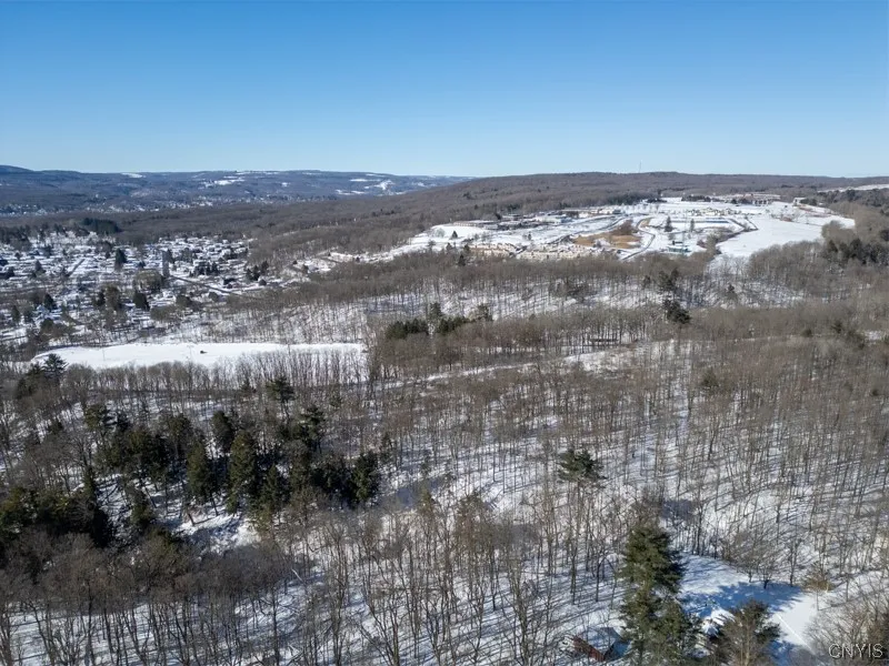 20 Beardslee Ave, Herkimer, New York 13350, Herkimer, New York 13350, ,Land,For Sale,20 Beardslee Ave, Herkimer, New York 13350,S1522293