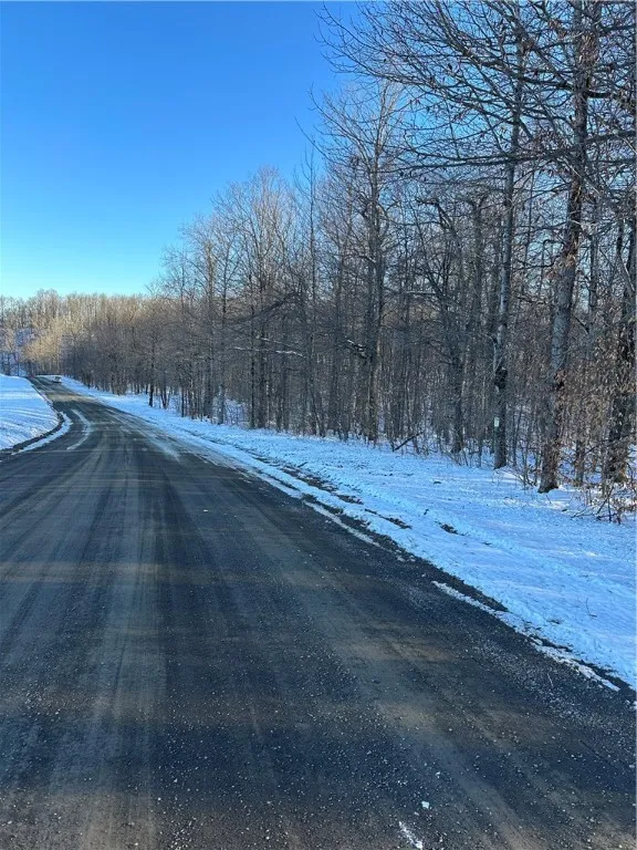 00 Mt Tom Road, Springfield, New York 13468, Springfield, New York 13468, ,Land,For Sale,00 Mt Tom Road, Springfield, New York 13468,0,R1521784